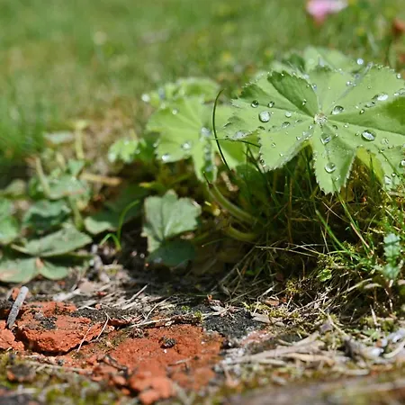 - 10 Appartamento Vilmnitz